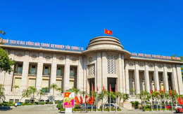 NHNN nói gì khi VND rớt giá so với USD dù DXY suy giảm? NHNN nói gì khi VND rớt giá so với USD dù DXY suy giảm?