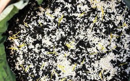 Loại trà đắt đỏ nhất Hà Nội, giá hơn 10 triệu đồng/kg được chế biến thế nào?