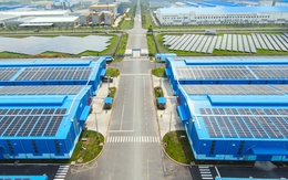 Khu kho cảng Thành Thành Công: Mắt xích logistics liền mạch và hiệu quả