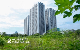 Toàn cảnh khu đất vàng rộng 6 ha vừa được thu hồi để xây nhà thấp tầng, đối diện dự án có biệt thự 1 tỷ đồng/m2 của Vinhomes Toàn cảnh khu đất vàng rộng 6 ha vừa được thu hồi để xây nhà thấp tầng, đối diện dự án có biệt thự 1 tỷ đồng/m2 của Vinhomes