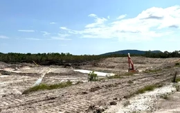 Thuê 8 máy múc san lấp, lấn chiếm hơn 50.000 m2 đất công ở Phú Quốc