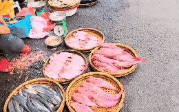 Từ vụ rửa cá bằng nước ngọt đỏ lòm: 2 lời CẢNH TỈNH mà ai đi chợ cũng nên biết