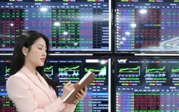 Chứng khoán rực rỡ như pháo hoa, hơn 1,3 tỷ USD 'sang tay' chớp nhoáng