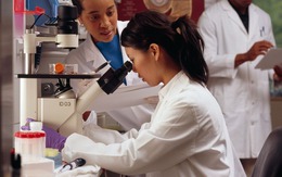 Trung Quốc vượt mặt Mỹ ở lĩnh vực quan trọng với khoảng cách lớn như ‘vực sâu’, cửa nào cho Washington lấy lại ngôi vương?