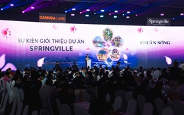 97% sản phẩm nhà phố của Springville được “quét sạch” khi vừa ra mắt