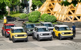 Tín đồ xe điện Hải Phòng, Đồng Nai lên lịch “Vi vu muôn ngả - Phủ xanh Việt Nam” cùng VinFast