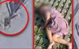 Ngã từ tầng 18, cậu bé 3 tuổi thoát chết kỳ diệu nhờ chạm vào cây