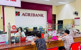 Lãi suất ngân hàng Agribank tháng 8/2025: Kỳ hạn nào có lãi suất cao nhất?