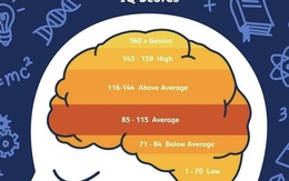 ‘Chiếc la bàn’ của ‘cao thủ EQ’: Áp dụng luật 2-8