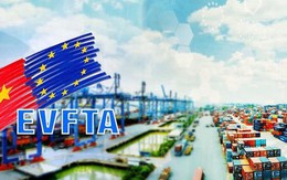 EVFTA sau 5 năm: Việt Nam - EU giao thương gần 300 tỷ USD