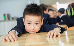 Nghiên cứu phát hiện: Trẻ làm 1 việc rất đơn giản sau cùng gia đình 5-7 lần/tuần thì kết quả học tập tốt hơn!