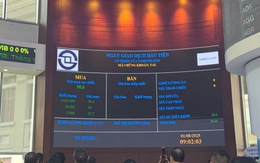 Cổ phiếu tăng kịch trần, Taseco Land đã "tung" hết bài?