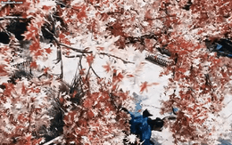 Trung Quốc hiện tại tìm đâu ra mỹ nhân cổ trang đẹp hơn thế này: Visual tuyệt sắc khuynh thành, ngôn từ không thể diễn tả