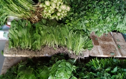 5 "cái bẫy" khi mua rau củ ngoài chợ: Tưởng tươi ngon, hóa ra hàng kém chất lượng