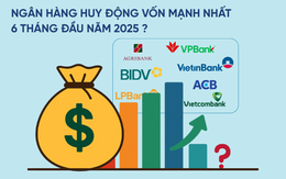 Ngân hàng tư nhân duy nhất hút tiền gửi hơn cả VietinBank và Vietcombank trong nửa đầu năm