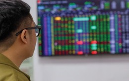 Cổ phiếu nào đáng chú ý trong tháng 8?