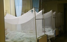 1.387 ca mắc mới virus Chikungunya được phát hiện tại Quảng Đông (Trung Quốc), chuyên gia cảnh báo nên cảnh giác