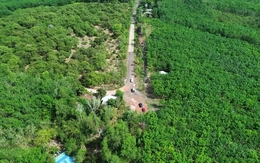 Đề xuất làm đường xuyên rừng, kết nối Đồng Xoài và Vành đai 4 TPHCM