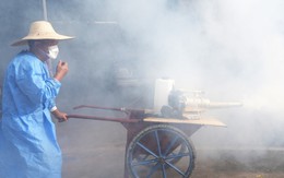 Bệnh Chikungunya ghi nhận số ca mắc cao chưa từng có ở Trung Quốc: Bộ Y tế khuyến cáo 4 việc cần làm ngay