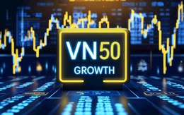 HOSE công bố rổ chỉ số mới VN50 GROWTH