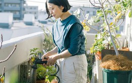 Mẹ Hà Nội chia sẻ: Sau 10 năm sống ở tầng 26, tôi chuyển xuống tầng 4 - nơi ai cũng né - và nhận ra sự khác biệt là rất lớn