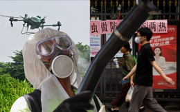 Toàn cảnh dịch sốt Chikungunya lan nhanh trên toàn thế giới: 240.000 ca mắc, 90 người tử vong; WHO ban hành cảnh báo