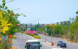 Người dân Cần Giờ, Côn Đảo được ưu đãi gì khi chuyển sang xe điện?