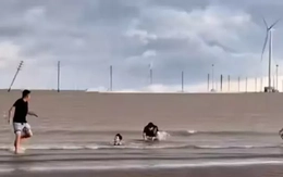 Loạt cột điện gió trên biển Vĩnh Long gãy đổ