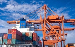 Chính phủ yêu cầu 3 bộ trình giải pháp ứng phó với thuế của Mỹ trước 13/8