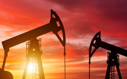 ‘Bỏ rơi’ dầu Nga, quốc gia BRICS lập tức tìm ra cứu tinh dầu thô mới: Đã 'chốt đơn' hơn 2 triệu thùng, là mỏ dầu lớn nhất châu Phi