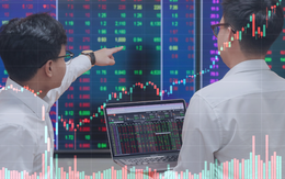 Chứng khoán liên tục lập đỉnh mới