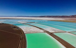 Trung Quốc ra động thái bất ngờ, thị trường ‘vàng trắng’ bùng nổ, giá tăng dựng đứng