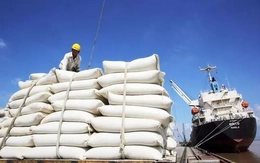 Gạo Việt Nam phi mã bất chấp Ấn Độ xả kho, giá thế giới lao dốc Gạo Việt Nam phi mã bất chấp Ấn Độ xả kho, giá thế giới lao dốc