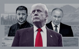Đã rõ lý do Mỹ từ chối ông Zelensky tham dự thượng đỉnh giữa hai Tổng thống Trump-Putin ở Alaska