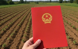 Một người dân ở quận 7 (cũ) chuyển 400m2 đất lên thổ cư hết 14 tỉ đồng