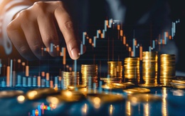 VN-Index chạm 1.600 điểm: Định giá nhóm chứng khoán ở mức nào?