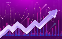 Cổ phiếu ngân hàng đồng loạt dậy sóng, ba mã tăng kịch trần sáng 14/8