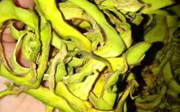 1 loại thực phẩm lọt Top tốt nhất thế giới, người Việt đã ăn từ lâu: Tốt cho cả người tiểu đường, được trồng rộng rãi ở nước ta