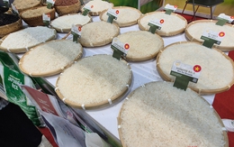 Giá gạo Việt Nam mạnh mẽ chưa từng thấy, điều gì đang xảy ra?