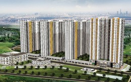 Năm Bảy Bảy chuyển nhượng công ty khai thác đá tại Quảng Ngãi