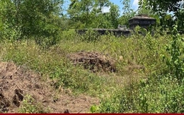 Dự án bãi đậu xe san phẳng mộ vợ vua Tự Đức: Cho chuyển mục đích sử dụng đất