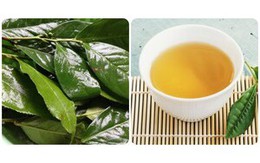 6 nhóm người không nên uống nước chè xanh