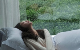 6 cách đơn giản, ÍT TỐN KÉM nhất để "lọc rác" cho lá phổi