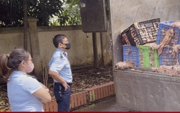 Kinh hãi hơn 2 tấn mỡ và da bò bốc mùi suýt tuồn vào thị trường