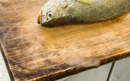 5 thứ trong bếp "độc như nọc rắn", tàn phá cơ thể: Tôi thật lòng khuyên bạn vứt chúng đi ngay lập tức