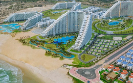 Hệ sinh thái đa ngành của nữ doanh nhân Hà Thị Phương Thảo