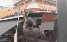 Đi uống cà phê bất ngờ gặp trăn khủng, cả quán đồng loạt hợp sức để vây bắt "vị khách không mời"