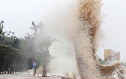 Biển Đông sắp đón áp thấp nhiệt đới, cả nước mưa như trút