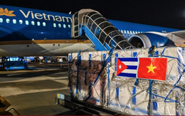 Bạn và tôi có thể đã được uống sữa bò, tiêm kháng sinh Cuba giữa lúc khó khăn