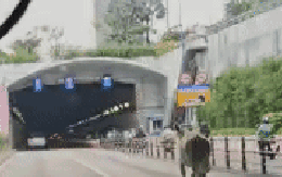 Người dân đang di chuyển vào hầm sông Sài Gòn bất ngờ với đàn bò